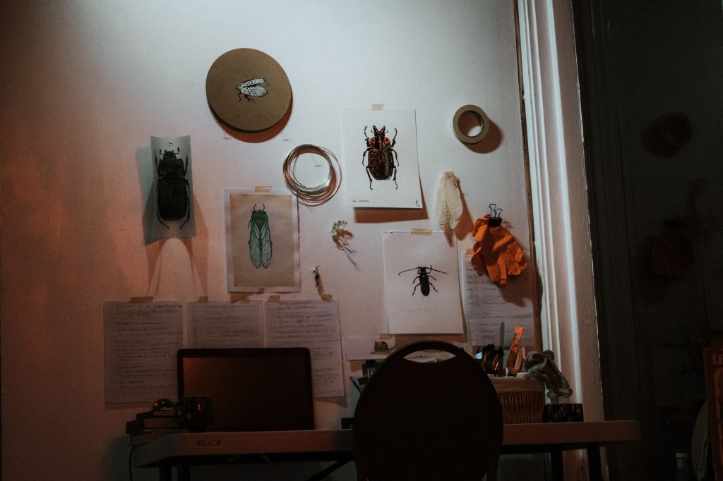 Camille Brisson – Le cycle des choses… et toutes nos&nbsp;illusions